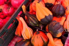 Cropped Market Gourds1