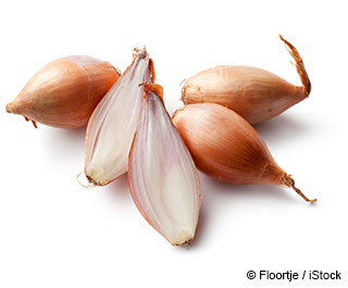 What Are Shallots?