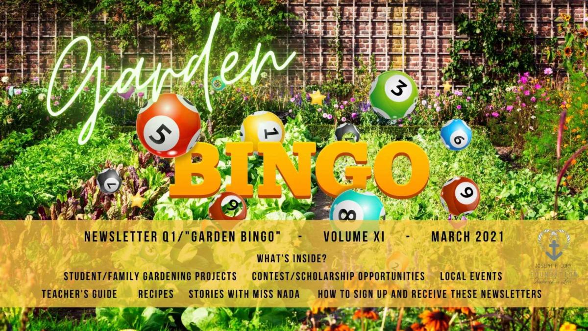 bingo newsletter